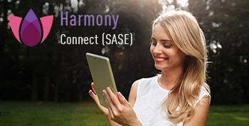Изображение: демонстрация harmony connect sase