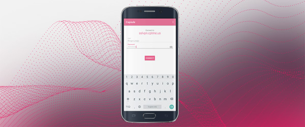 600x250 CapsuleWorkspace