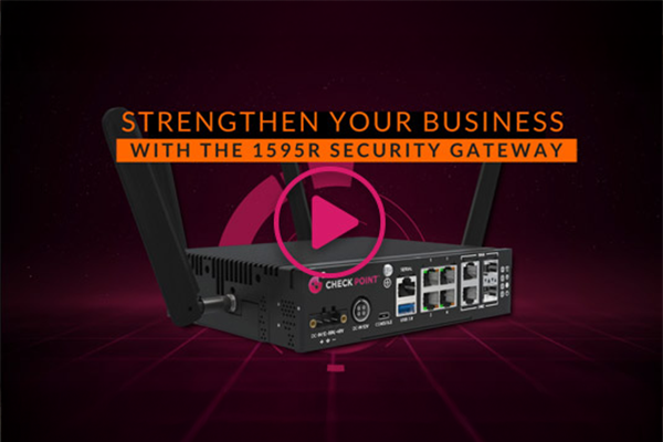 1595R Security Gateway video