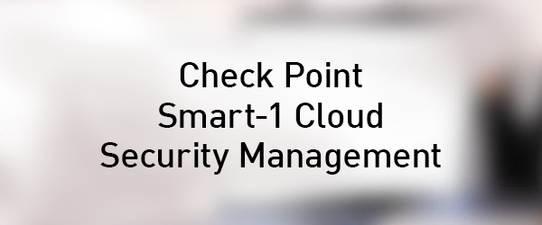 600x250 Gestione della sicurezza via cloud