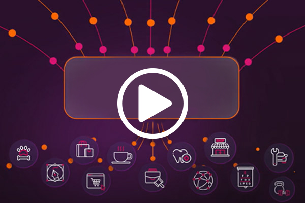 quantum spark video
