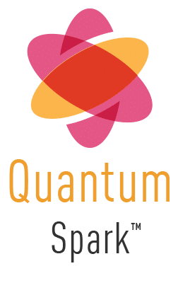 логотип quantum spark ngfw